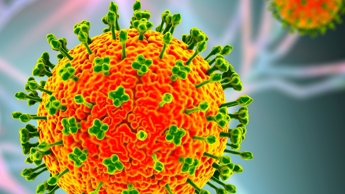 Nipah Virus Outbreak Has Asia on High Alert Amid Deaths in India